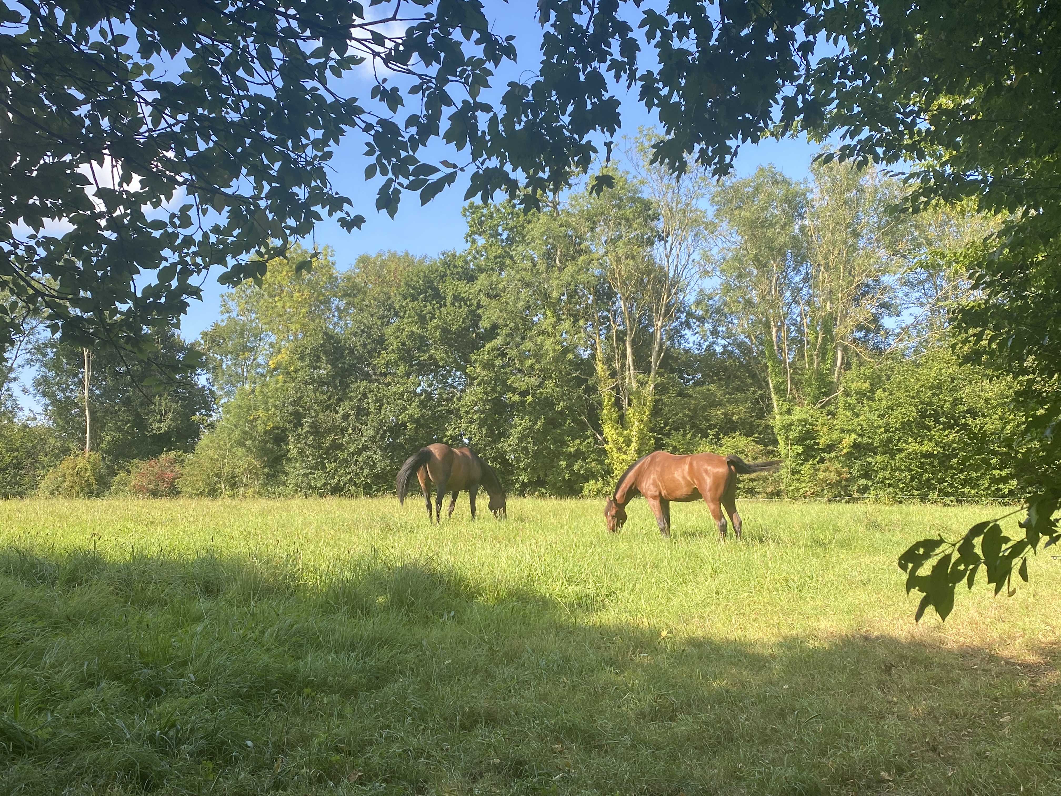 Les gîtes équestres d'Auvers